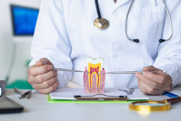 Best Emergency Root Canal Treatment in Cresaptown, MD